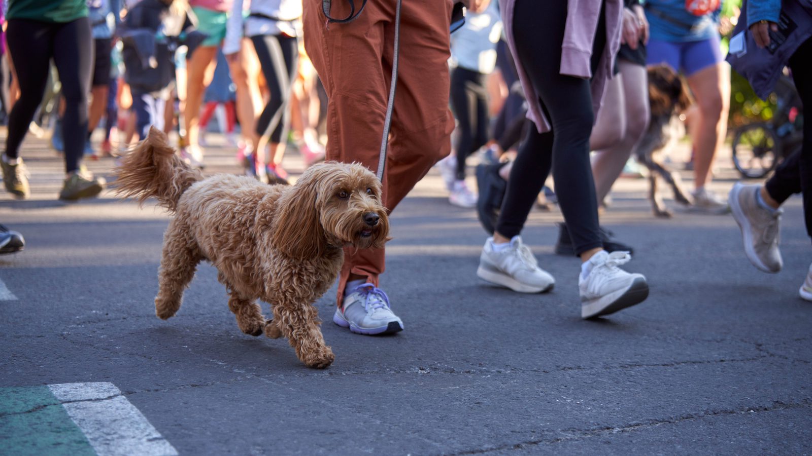 Old Bill's Fun Run
