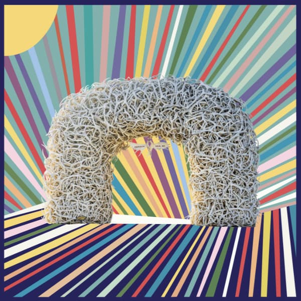 Reports & Financials